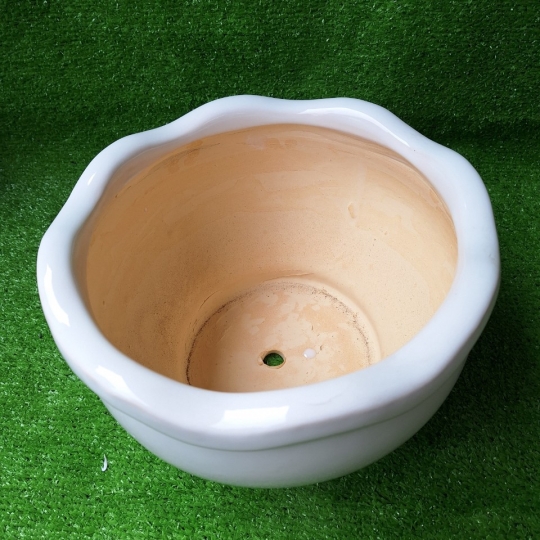 Chậu Bèo Bộ 5