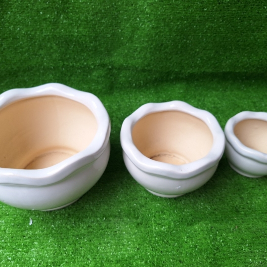 Chậu Sứ bèo Bộ 3