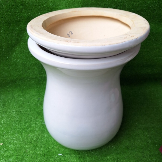 Chậu Sứ Nụ Hồng