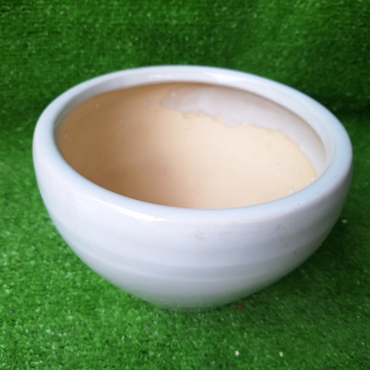 Chậu  Sứ Trưng Tròn Bộ 4 Lớn
