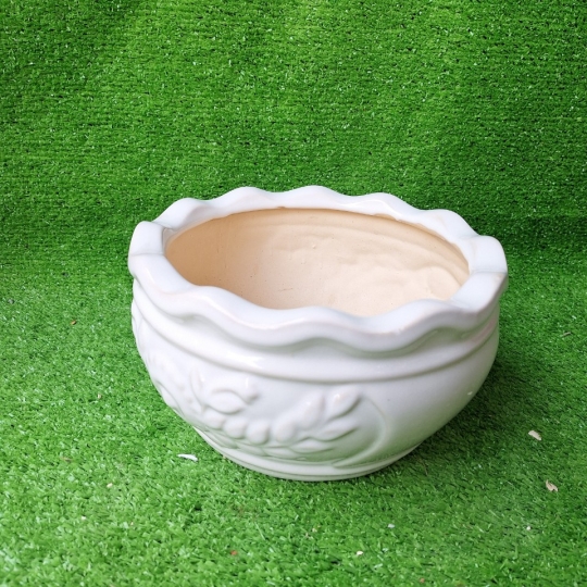 Chậu Sứ Bắp Cải