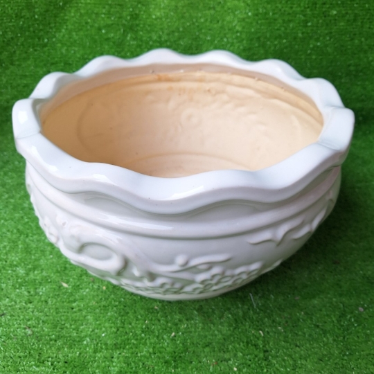 Chậu Sứ Bắp Cải