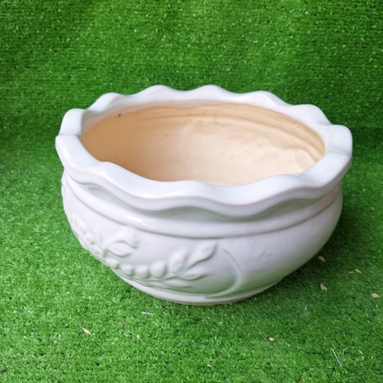 Chậu Sứ Bắp Cải