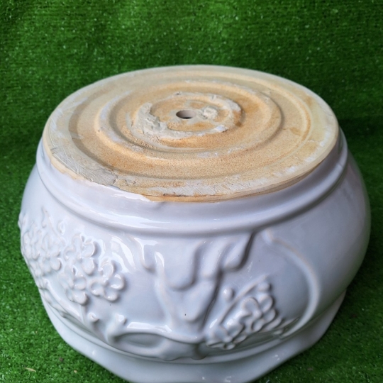 Chậu Sứ Bắp Cải