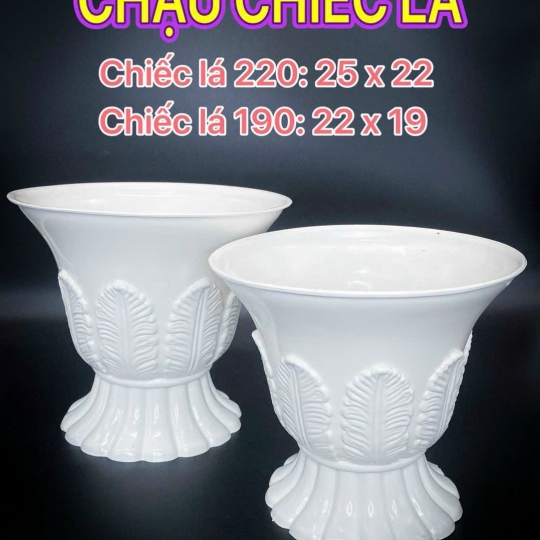 Chậu Thuận Buồm