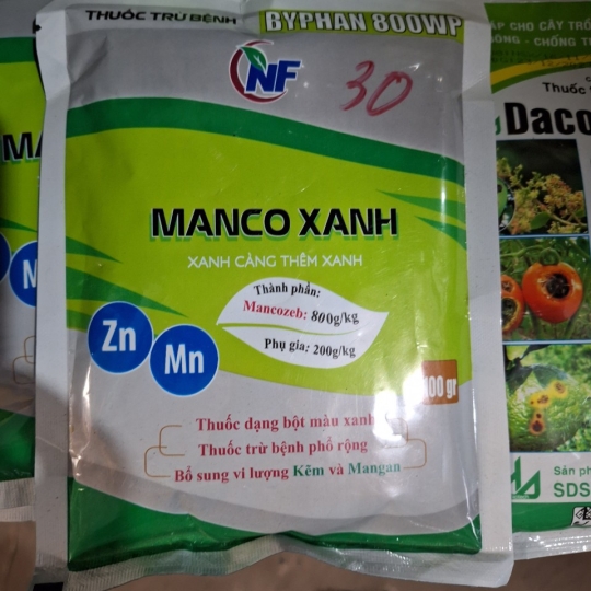 MANCO XANH  100gr
